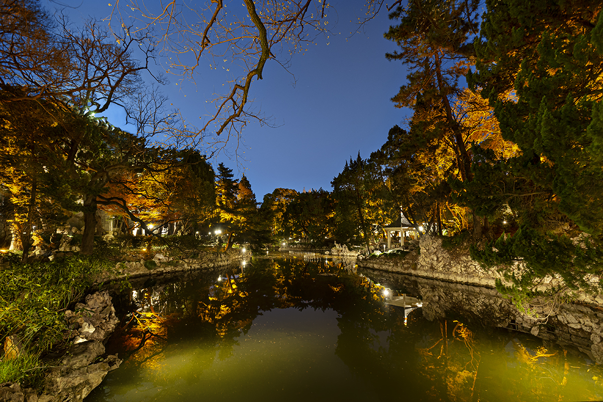 叶家花园（上海肺科医院）